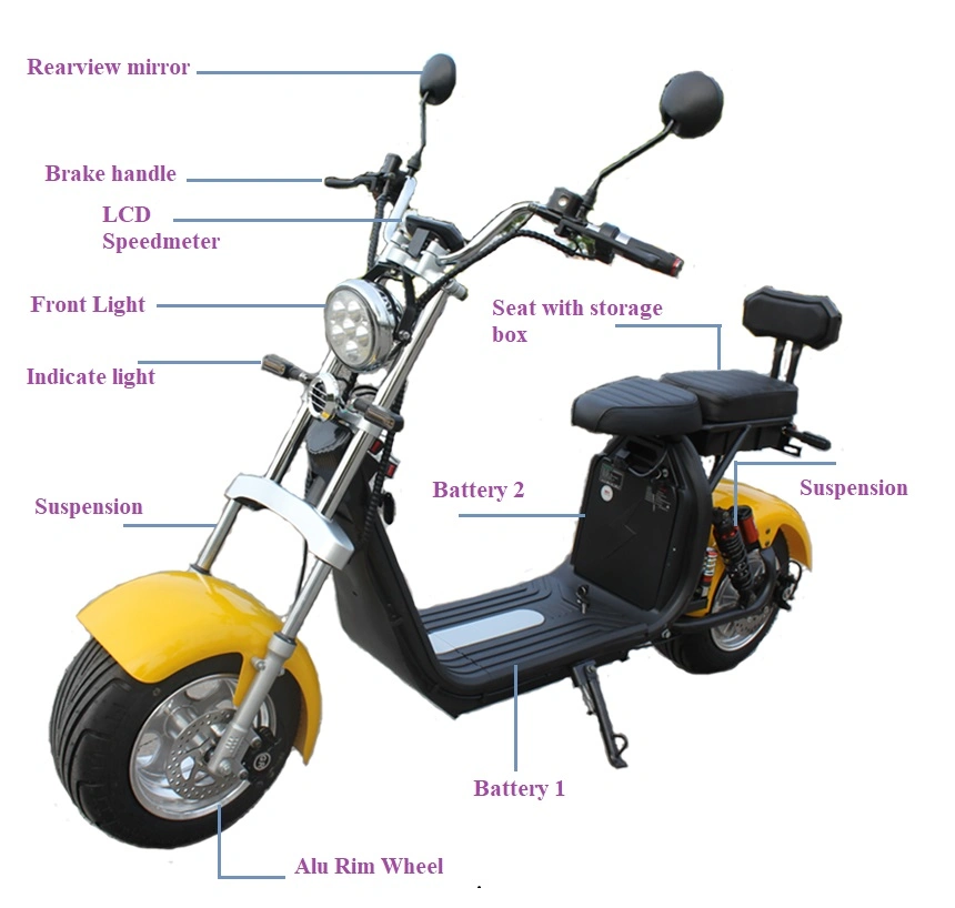 Electric Scooter Wellsmove Hot Sale EEC/Coc Citycoco 1500/2000W Electric Bike