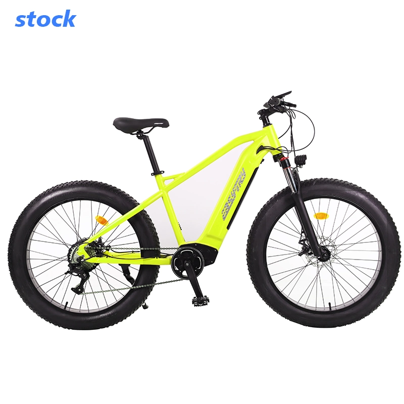 Easy-Try Custom Cheaper Bicycle 500W Electric Cycle Hidden Battery MTB Ebike