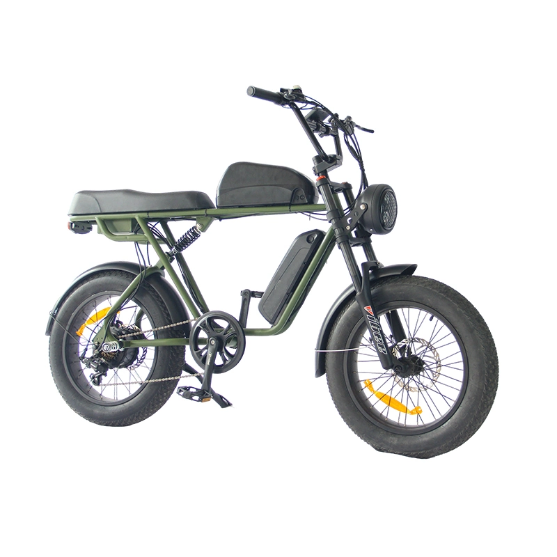 off-Road Fat Tire Scooter Powerful Electric Bike 500W Motor Electric Bicycle