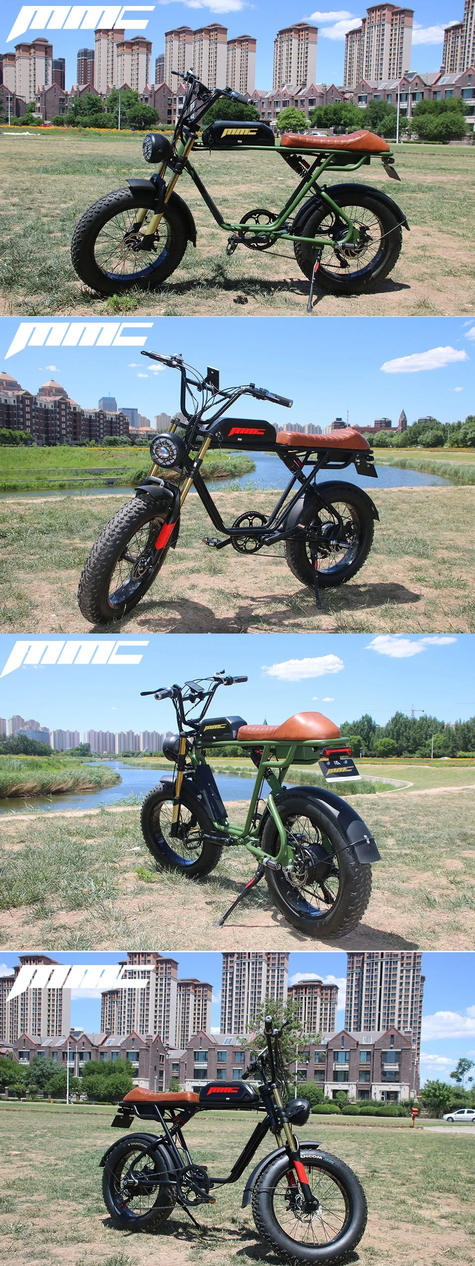 High Power Lithium Battery Brushless Aluminum Alloy Electrical Electric City Mountain Road Fat Tire Electric Cycle Ebike