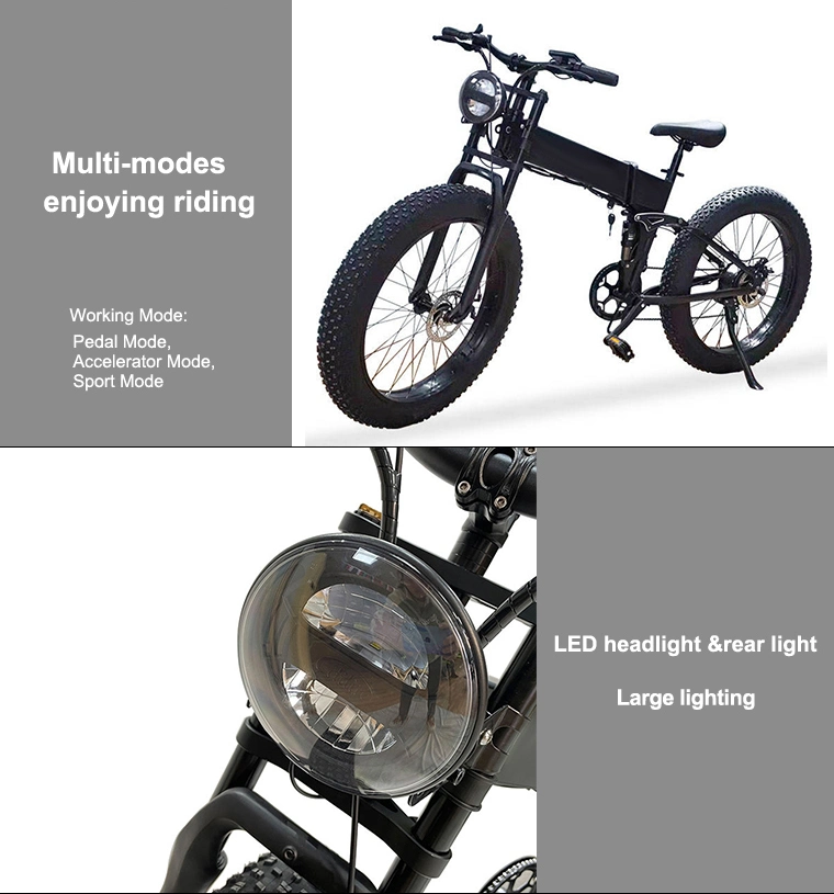 High Quality off Road Electric Bike 7 Speed Li-ion Battery Moped Ebike 1000W