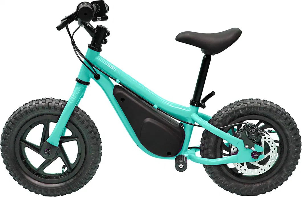 Best Selling Premium Kids Electric Bike with Lithium Battery