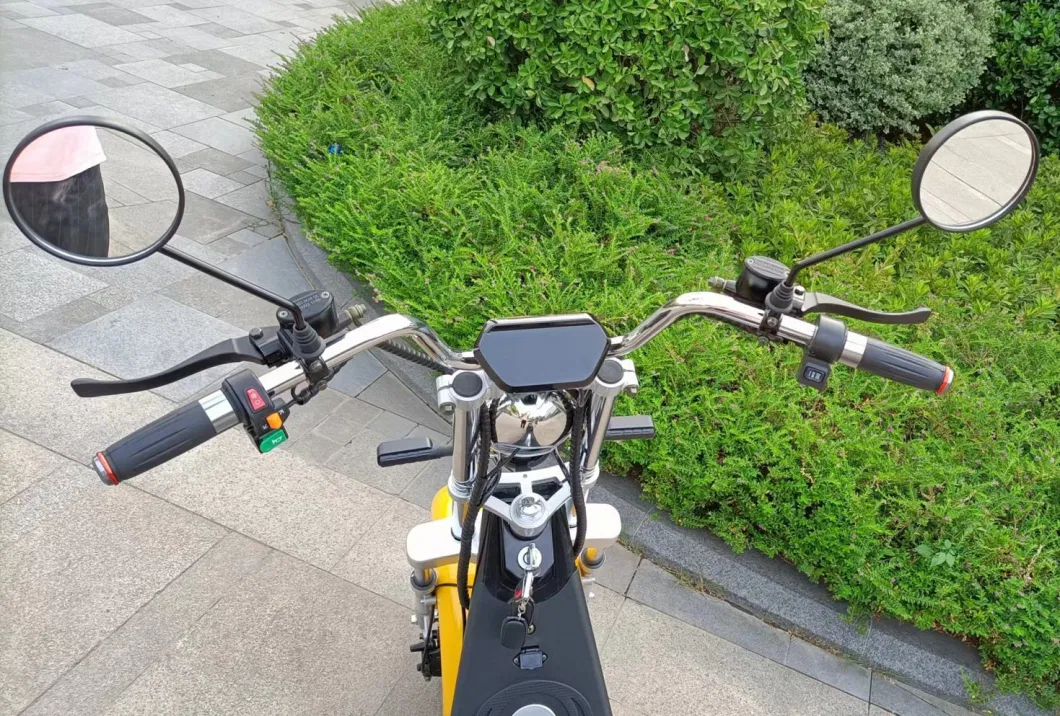 Electric Scooter Wellsmove Hot Sale Patinete Eletrico EEC/Coc Citycoco 1500/2000W Electric Bike