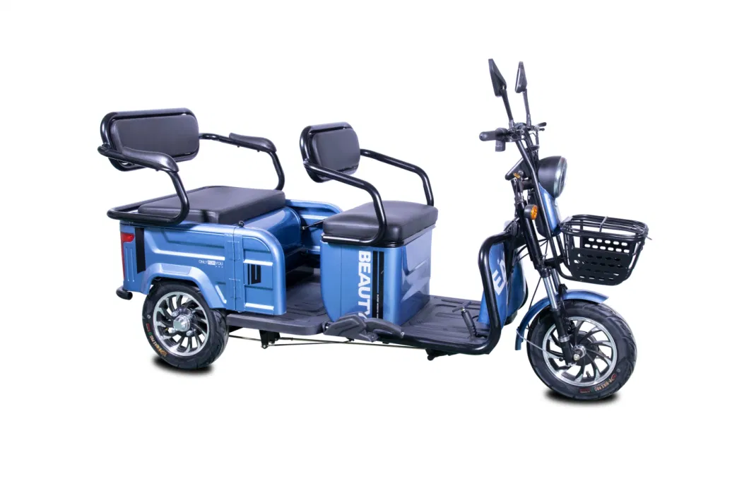 Quality Electric Trike Tricycle with Three Wheels Electric Rickshaw