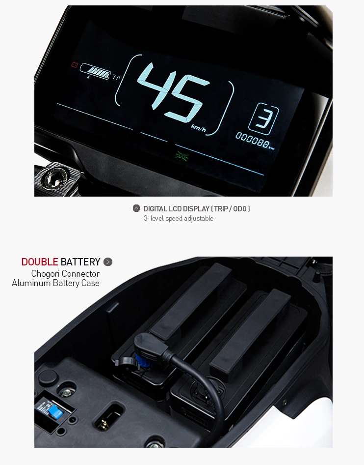 Powerful Electric Motorcycle for Adult 1500W Lithium Battery