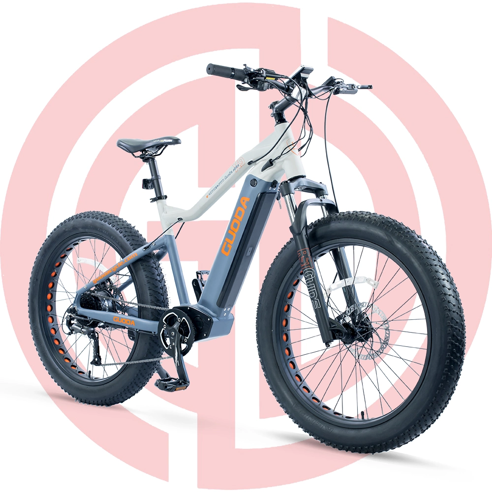 26 Fat Tyre 750W Electric Bicycle Snow Ebike for Adults