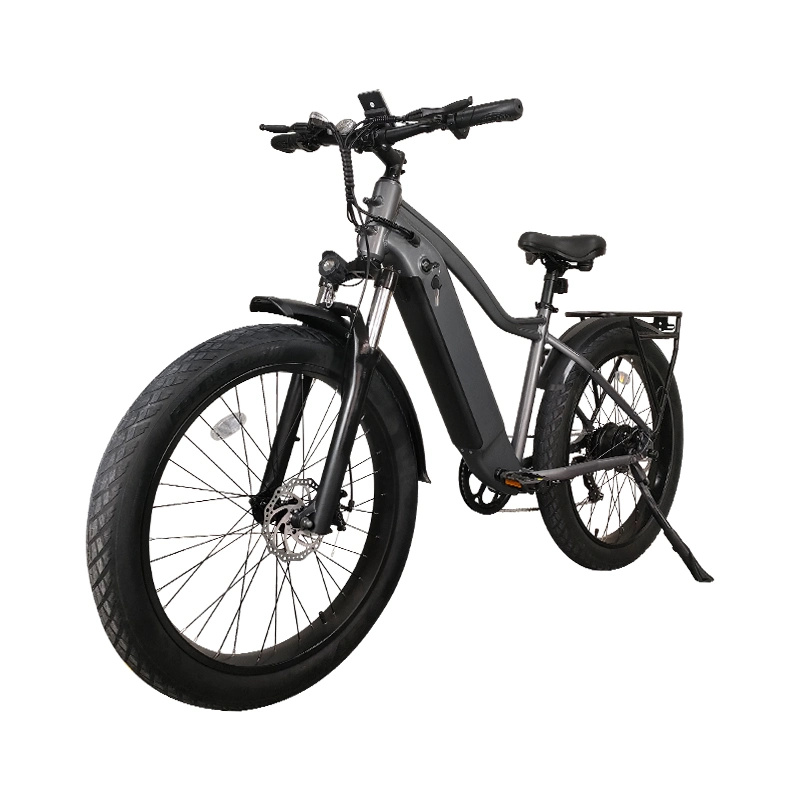 Hot Sale Ebike Down Hill Electric Bike Electric Bicycle