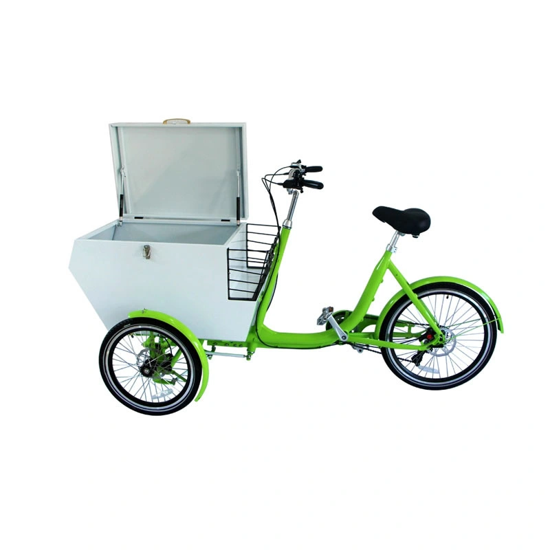 White Color Adult Tricycle Electric Mobile Cargo Bike Shopping Cart with Stainless Steel Box Loaded Customizable