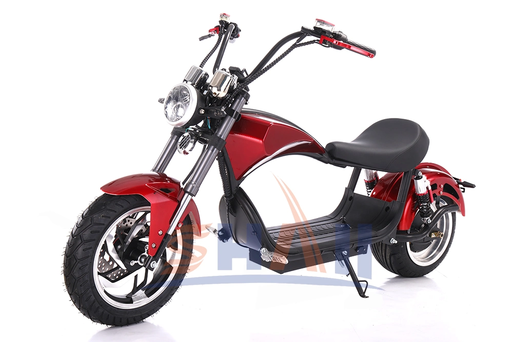 City Coco Dirt Bike Chopper Electric Scooter