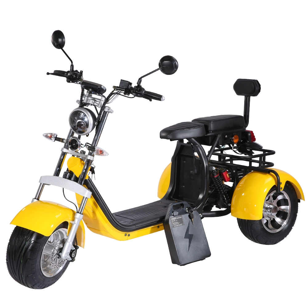 Removable Battery 2000W Motor Three-Wheel Electric Bike EEC/CE Scooter for Adult