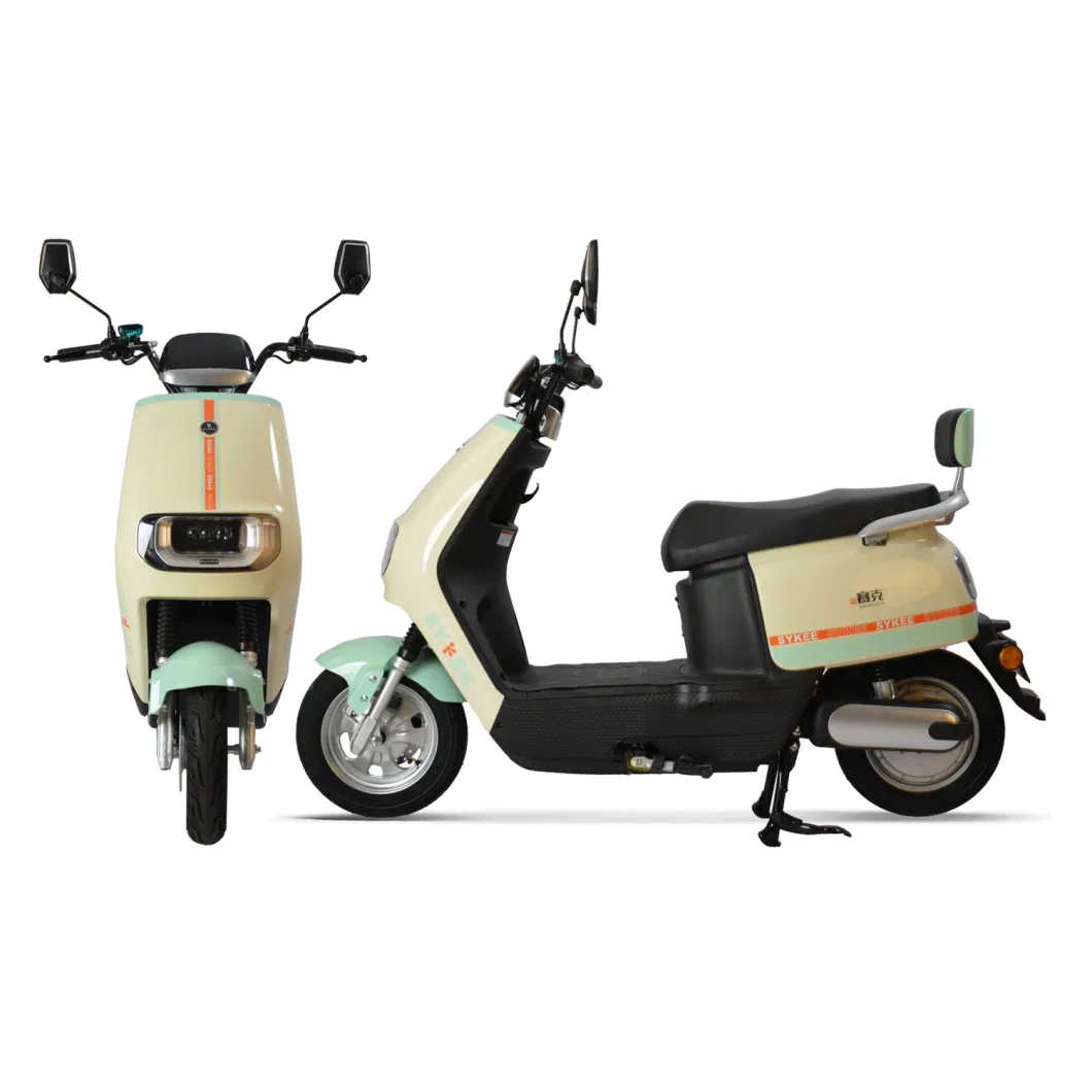 City Bike 600W Motor E Scooters Power Electric Motorcycle Electrical Bicycle