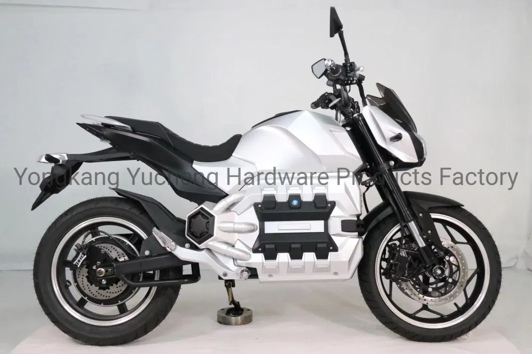 China Electrical Motorcycle for Men Sport Electric Motorcycle