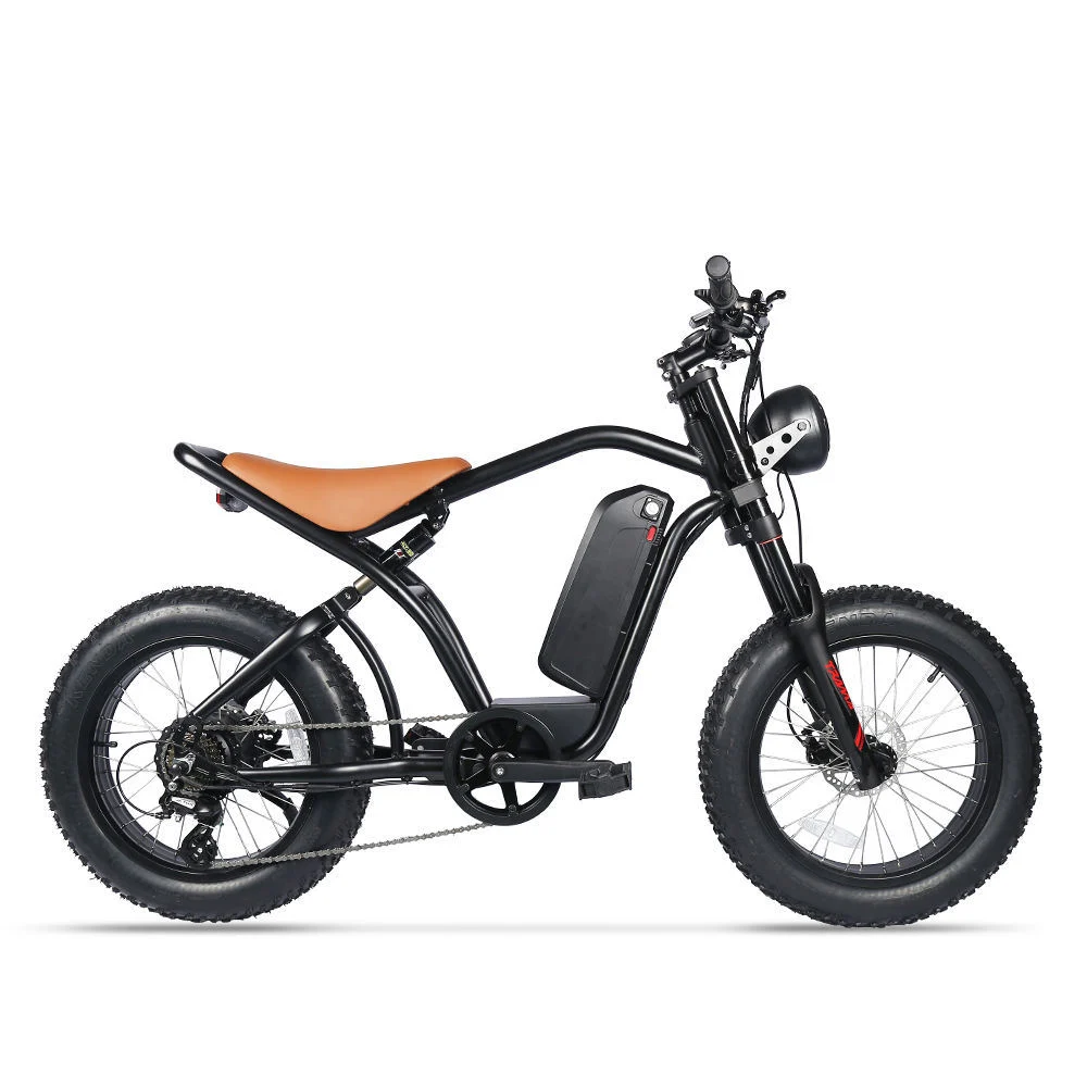 OEM High Speed Wholesale Electric Moped Electric Bicycle