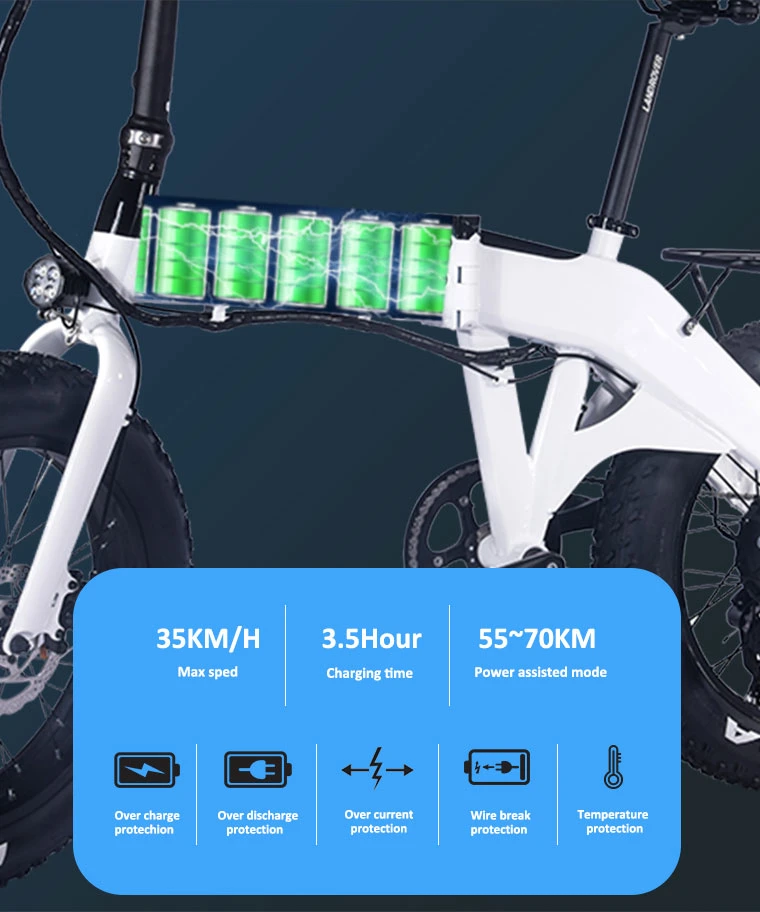 Brushless 20inch Folding Dirt Bicycle Cycle E Electric Bike 750W E-Bike ODM