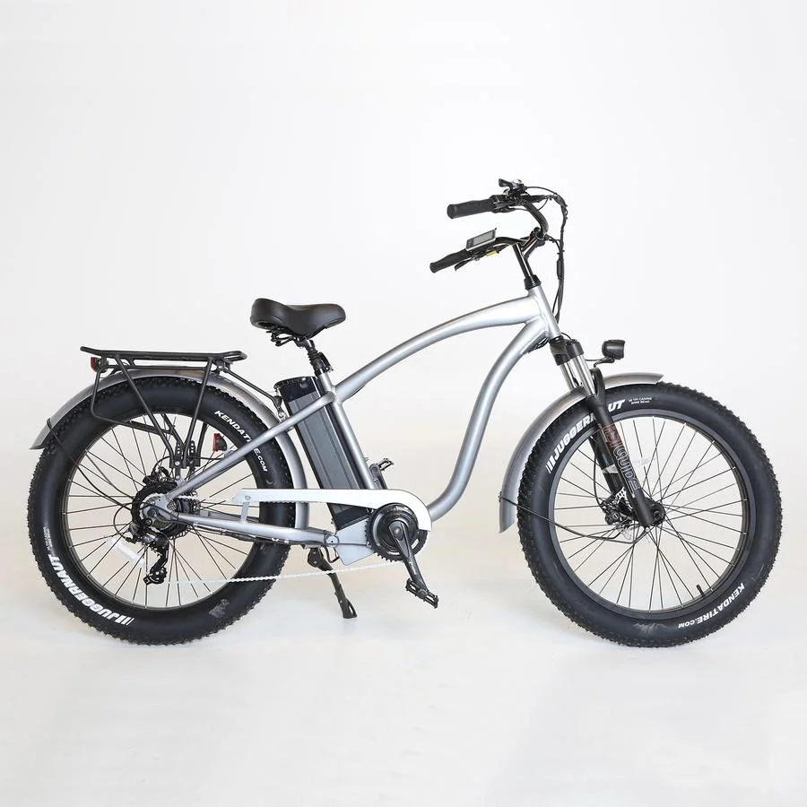 750W Brushless Motor Electric Bikes Buy Cheap Price for Sales Electric Bicycle