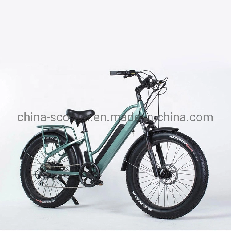 Popular Electric Bicycle with Lithium Battery, Fat Tire (ML-FB006)
