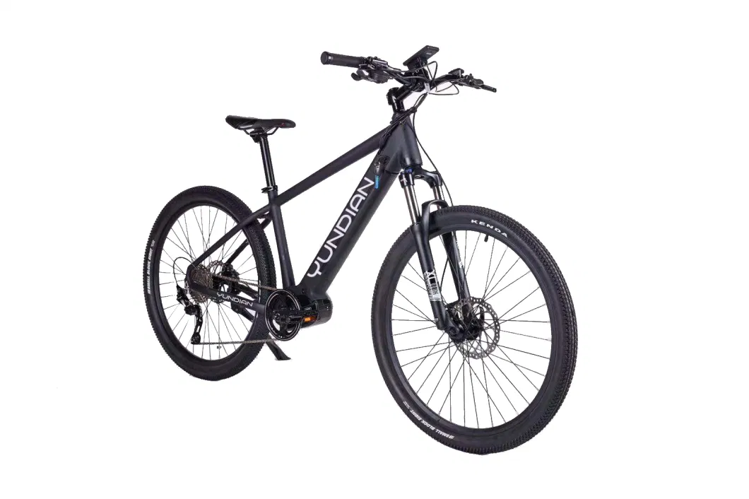 MID Drive Electric Mountain Bike / Electric off-Road Bike