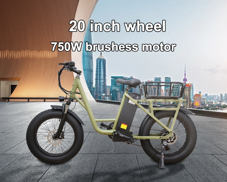 750W Adults Bicycle 20inch Fat Tire Electric Bike for Mountain Snow