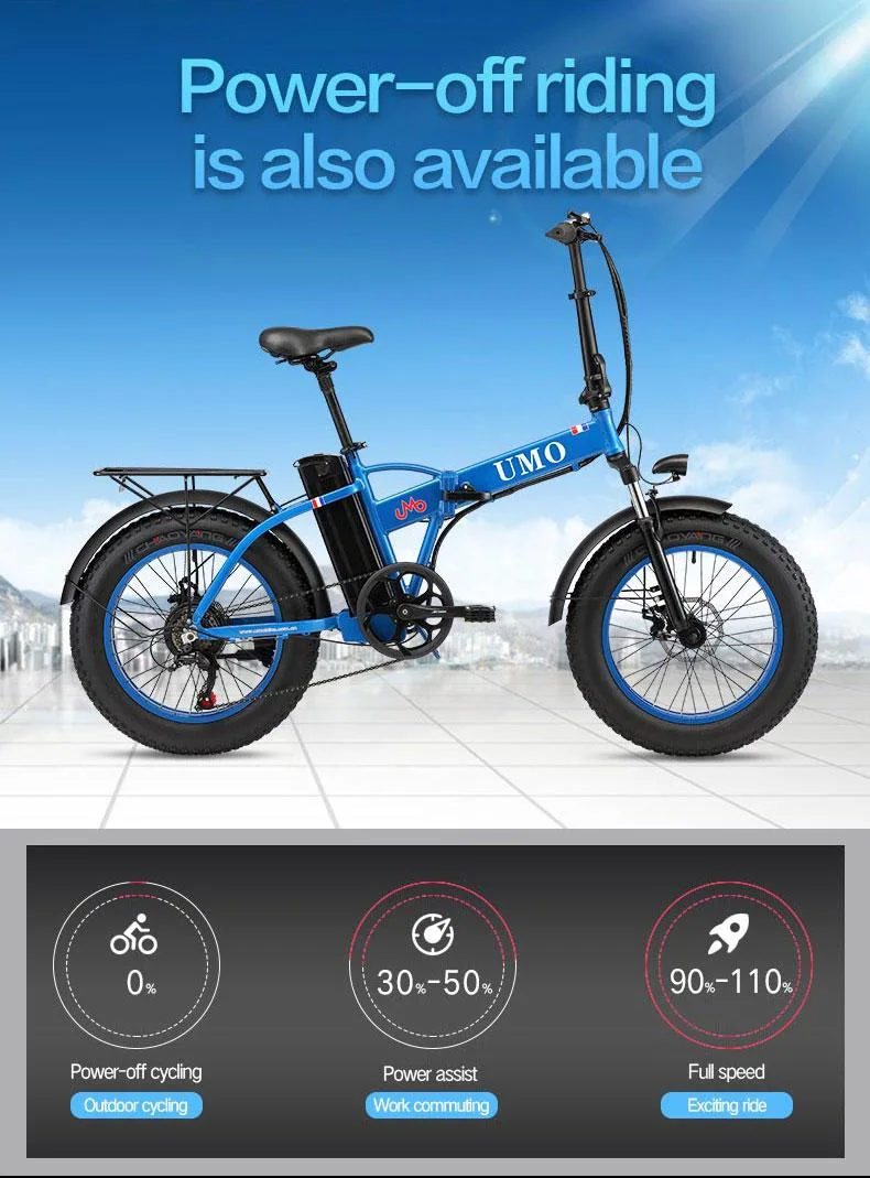 Manufacturer Lithium Battery Foldable Ebike Electric Bike for Adults