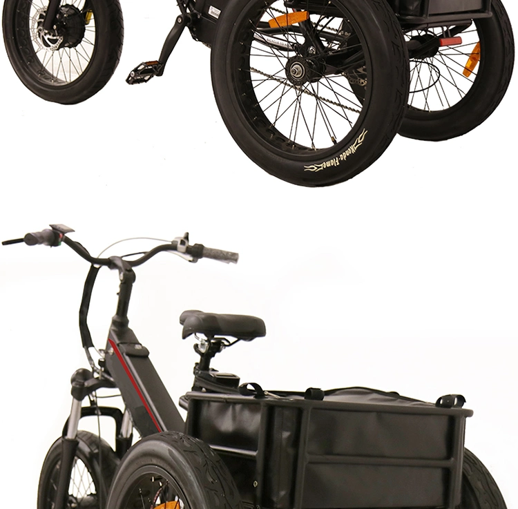 Hot Sell Electric Tricycle 3 Three Wheel with Padals Electric Cargo Tricycle Bike for Elderly