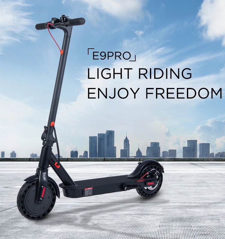 Electric Scooters 2024 Popular 2 Wheel Electric Skateboard E9PRO Scooter Electric Bike Adult Scooter 350W