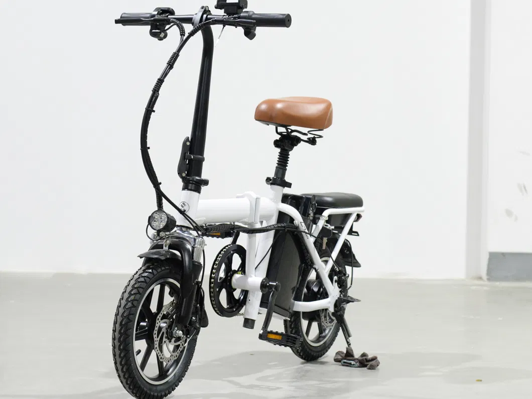 2023 Electric Bike / 48V 250W Fat Tire Foldable Electric Bicycle/ Folding Ebike