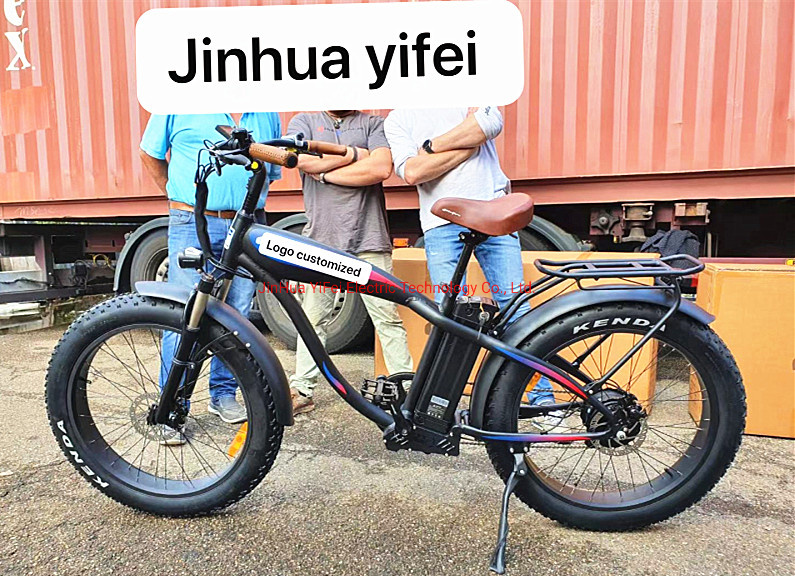 Electric Powerfull Motor Harley with Battery Electric Bike Electric Harley Bicycle Ebike