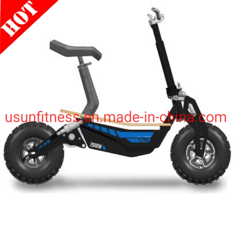 Promotion High Speed Folding Electirc Scooter Adult Electric Bike Electric Bicycle E-Scooter 1000 W 48 V 20 Ah with CE