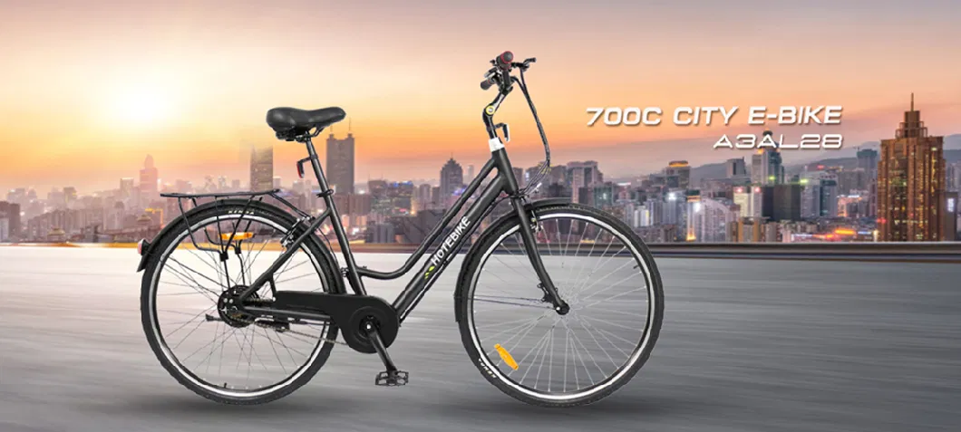 A5ah28 Electric Bicycle, 28 Inch Ebike, with LCD-Display