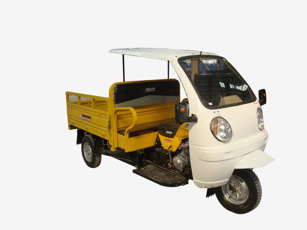 Cargo Tricycle with 1.6*1.25 Cargo Box /Motorized Tricycle in 2015
