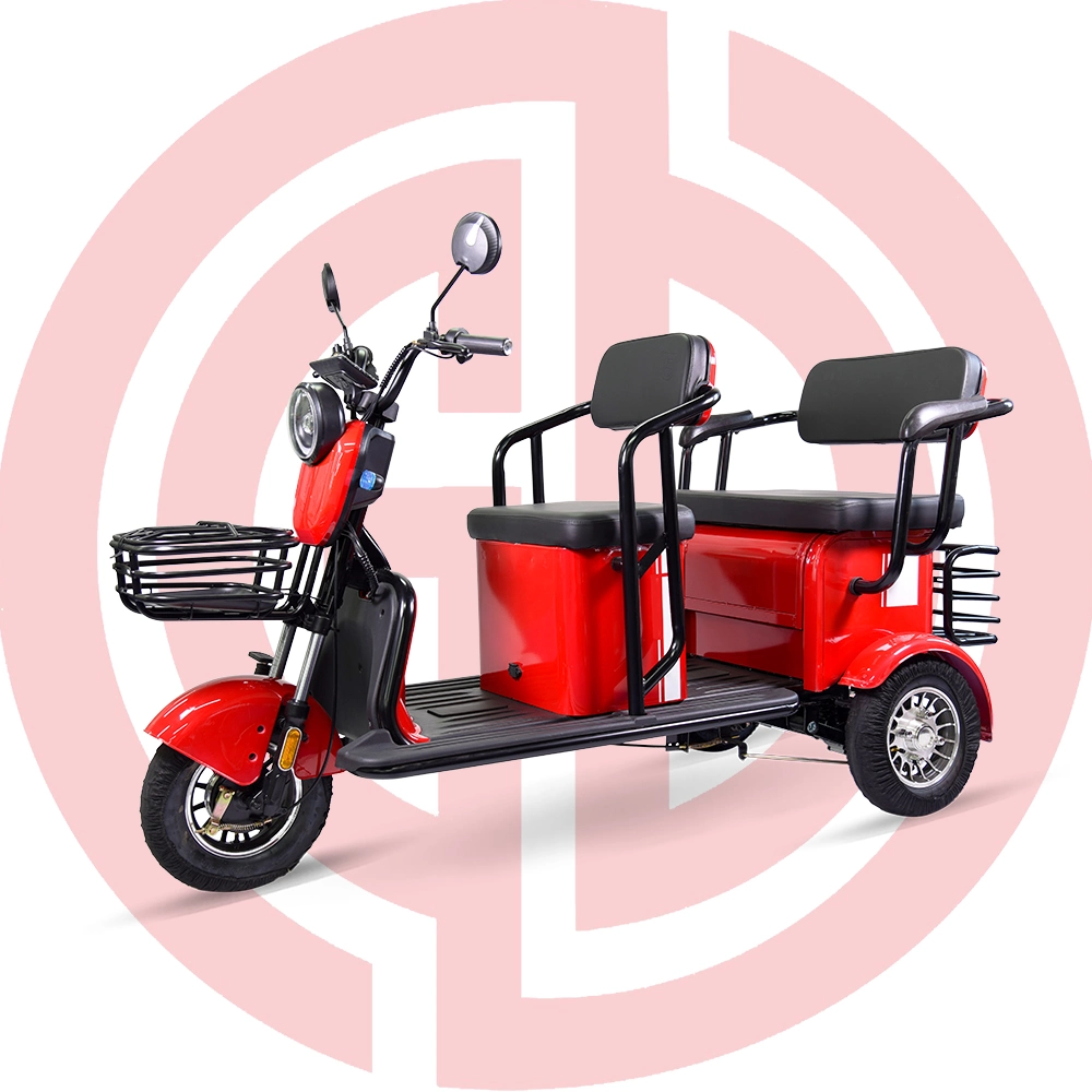 Cheap 3 Wheel Motorized 650W Electric Tricycle