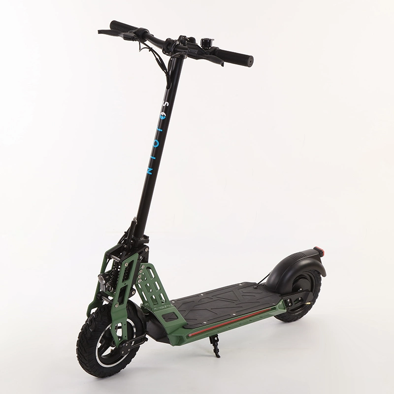Electric Scooter with Two Suspension 800W Foldable Electric Scooter