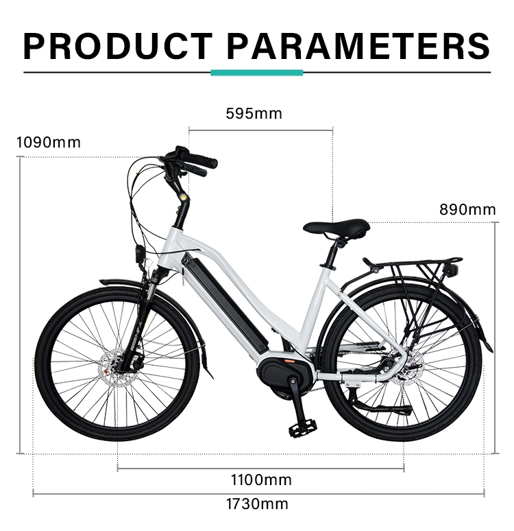 250W 350W Motor Pedal Assist Adult EEC Electric Bicycle