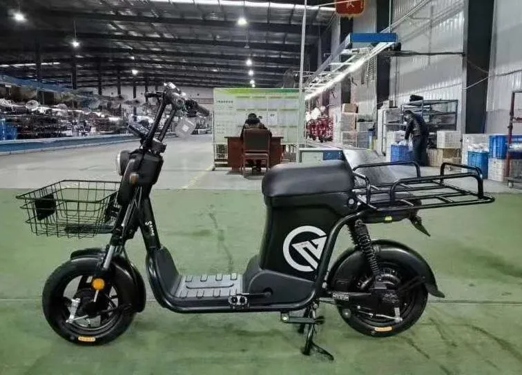 Saige Delivery electric Bike with Cargo Carrier