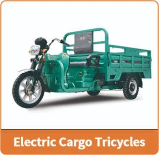 Electric Cargo Trike Three Wheel Motorcycle with Container OEM