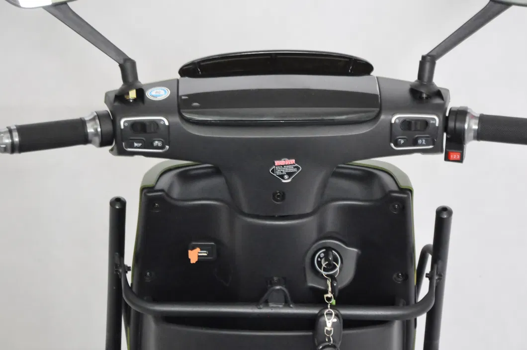 Hot Selling Electric Scooter Electric Motorcycle for Adult