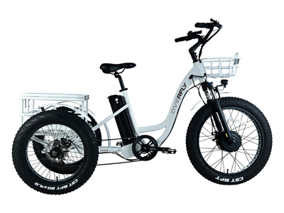 Tri-Cargo 48V 500W Hub Motor Electric Cargo Bike
