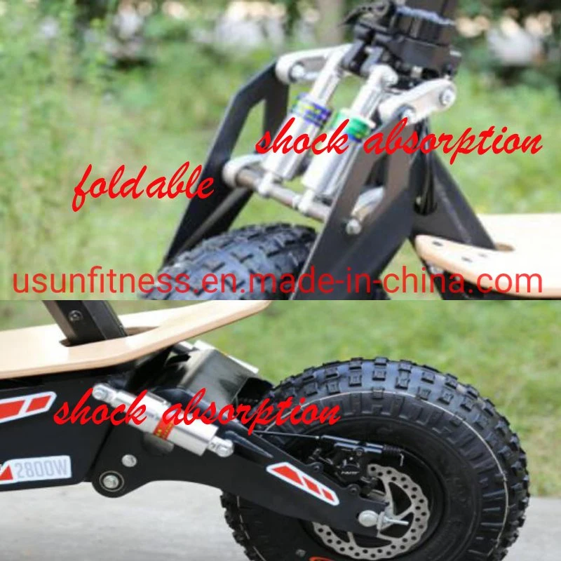 Promotion High Speed Folding Electirc Scooter Adult Electric Bike Electric Bicycle E-Scooter 1000 W 48 V 20 Ah with CE