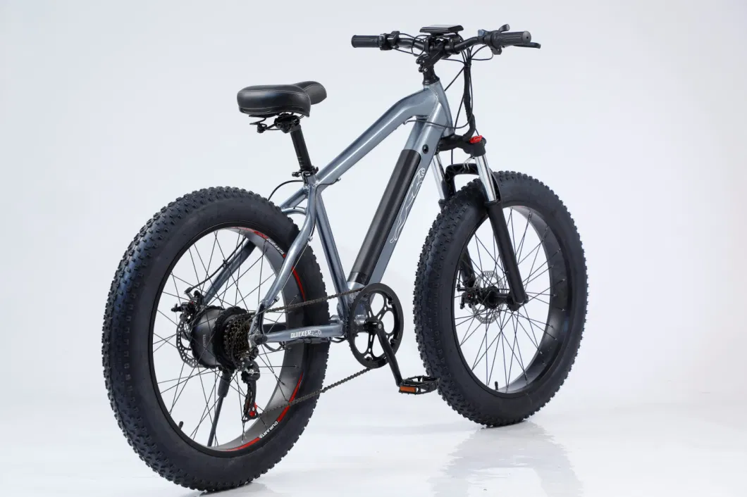 Chinese Supplier Retro Offroad Heavy Duty Enduro E Bike Electric Bicycle Mountain Bike