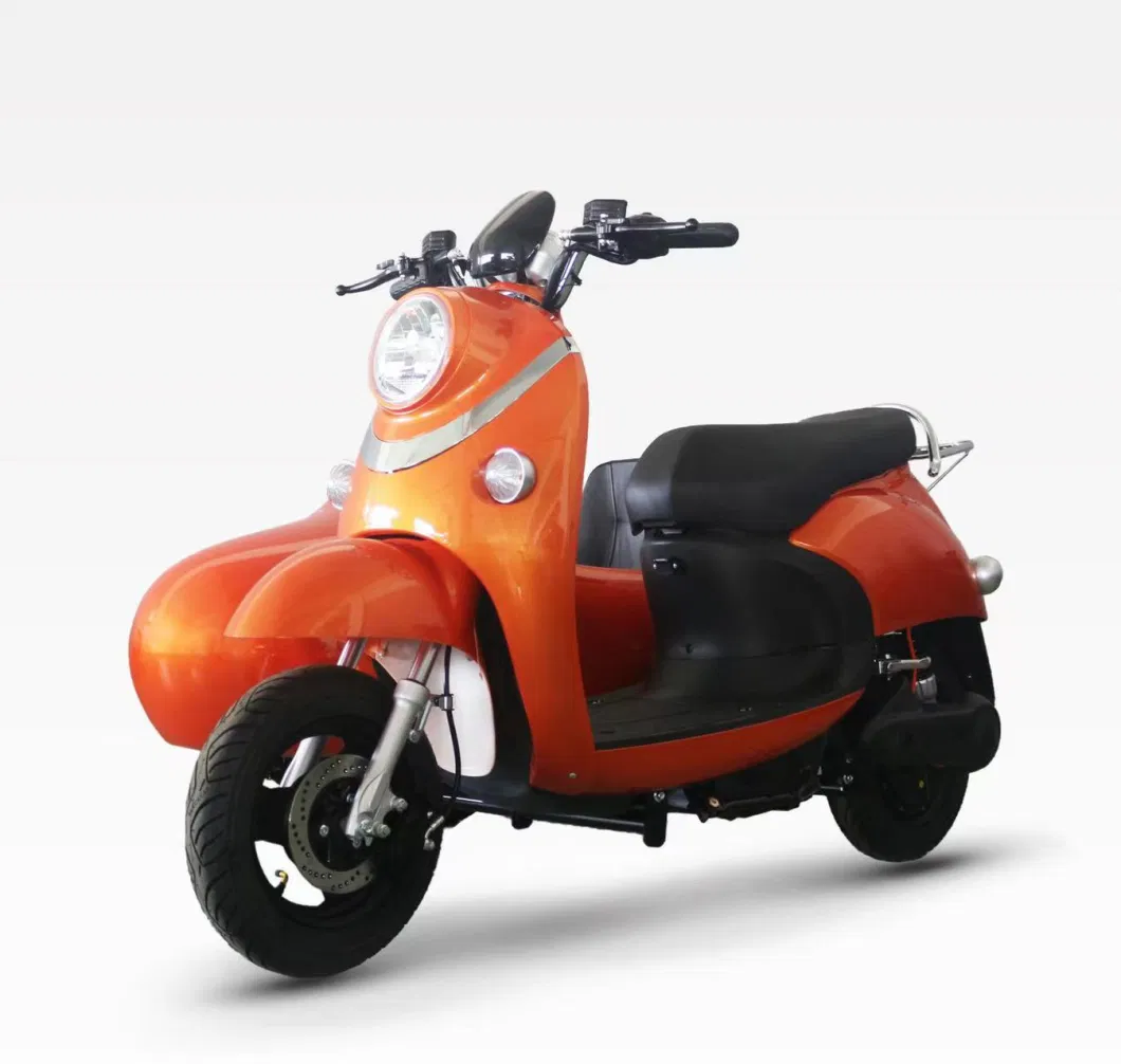 Hot Sale 1000W Electric Tricycle Factory 2 Wheel Bicycle E Scooter Citycoco Bike Moped Electrical Adult with Side Car