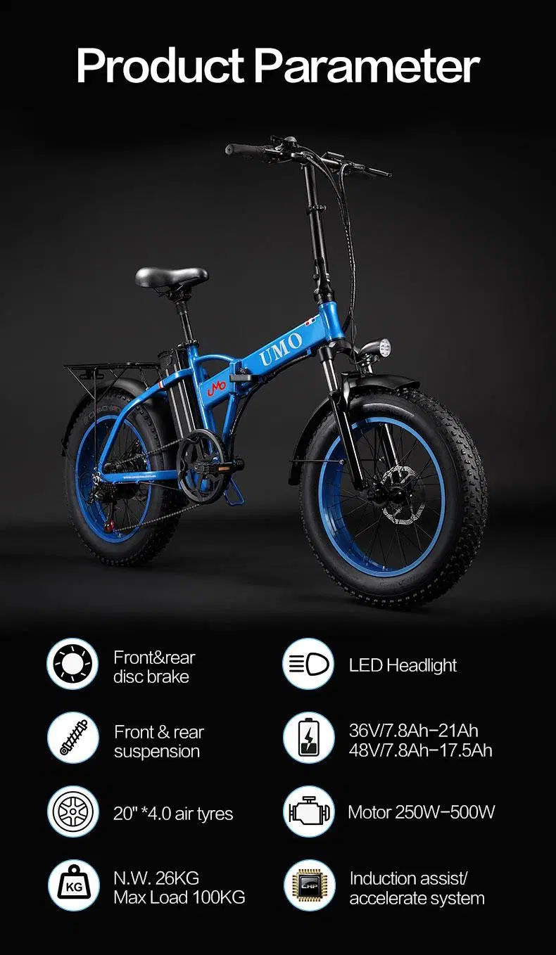 Manufacturer Lithium Battery Foldable Ebike Electric Bike for Adults