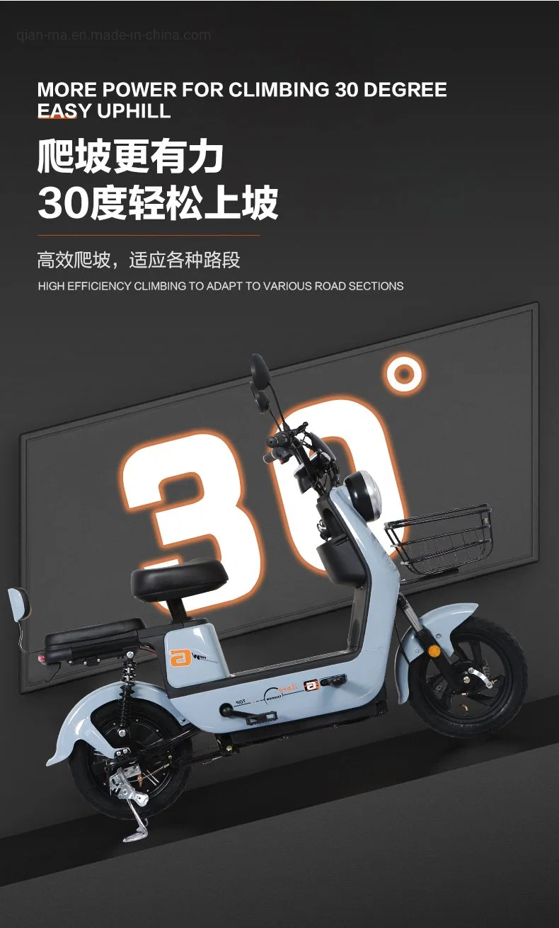 E-Bikes 48V 350W Electric Bike with Pedal Assist