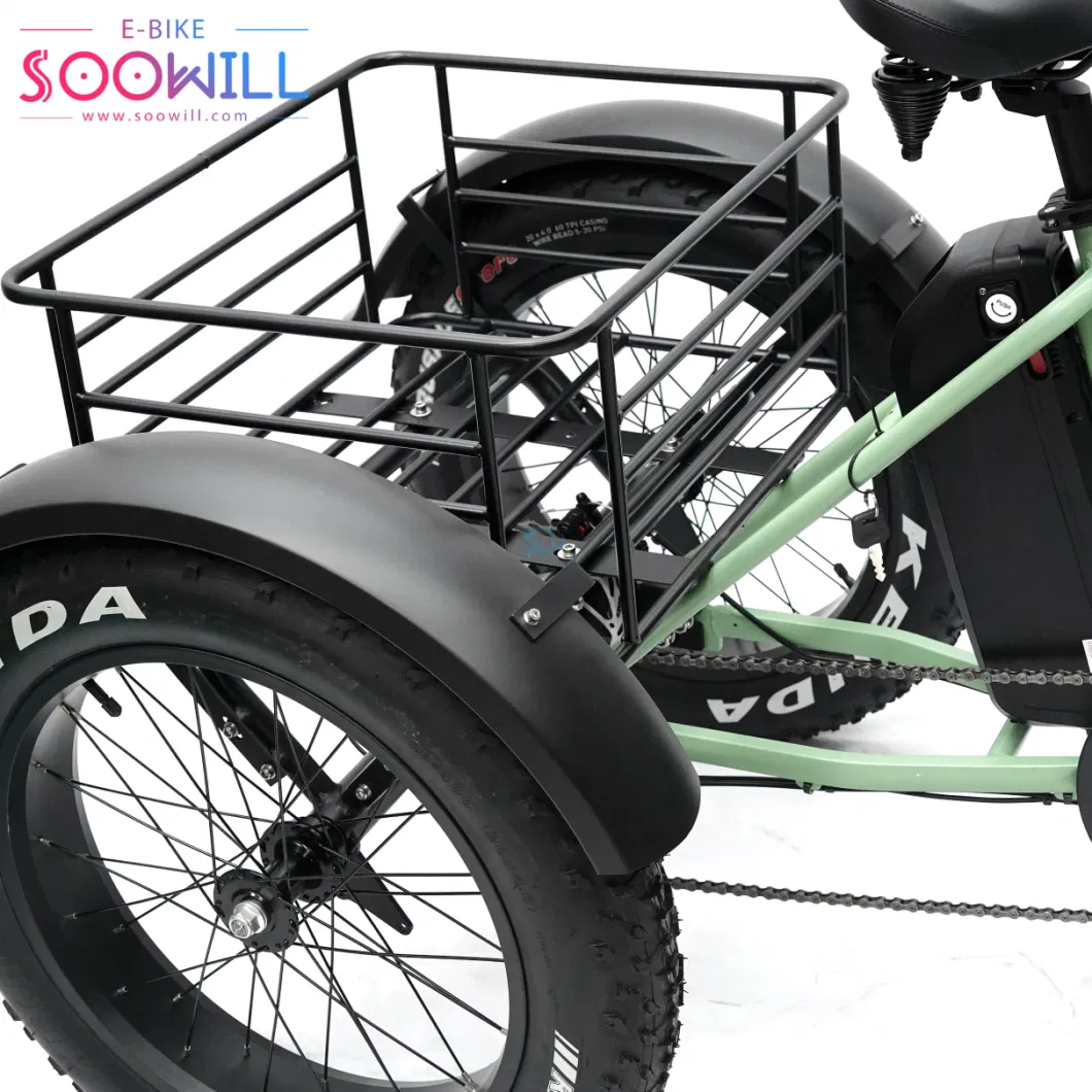 20 Inch Electric Bicycle Cargo Vehicle E-Bike Folding Tricycles