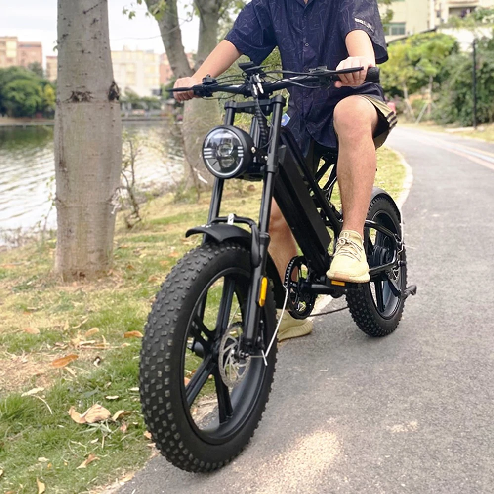 48V 13ah Lithium Battery 7-Speed Electric Bike for Adult