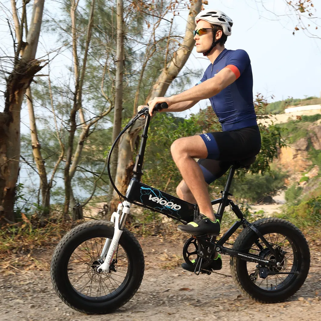 Portable 20inch Electric Mini Bike