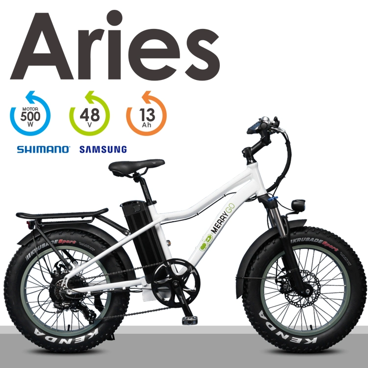 20inch Mountain Style Rear Drive Electric Bike with Lithium Battery