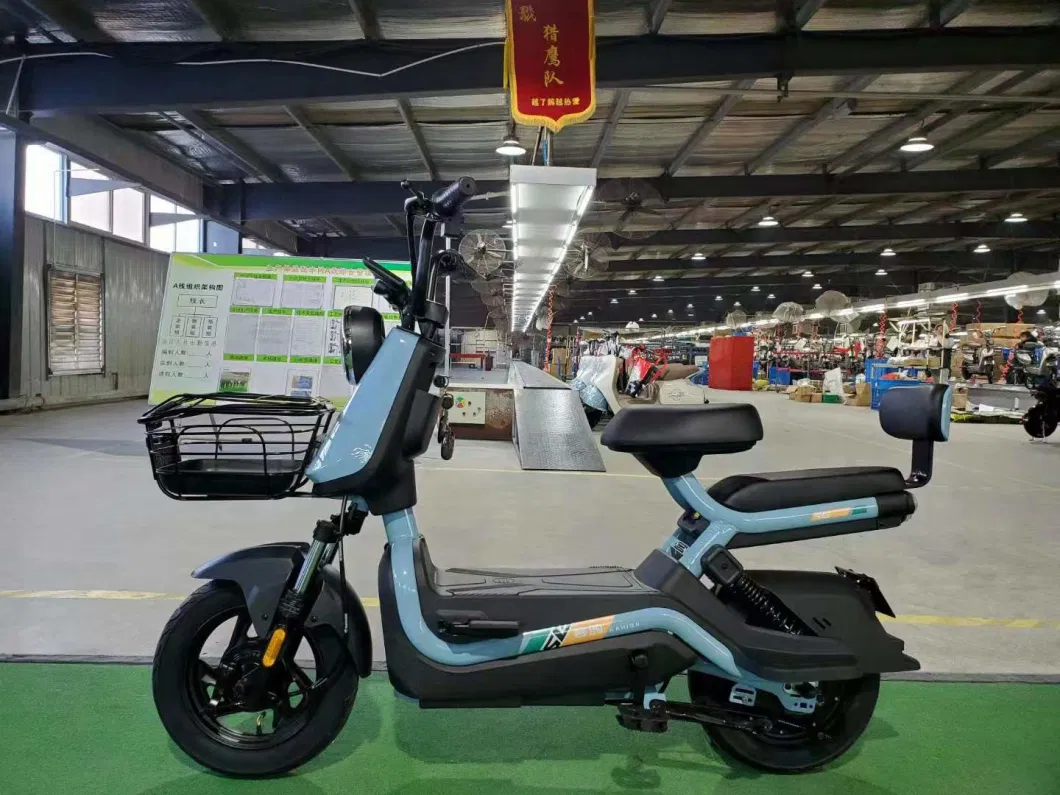 Saige 500W 48V 12ah 35km/H Electric Scooter for Adult