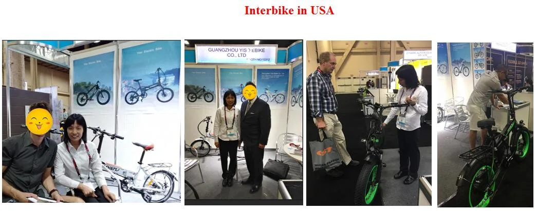 Hot-Selling Electric Bicycle China with Ce