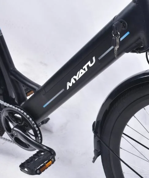 Hot-Selling bicicleta el&#233;ctrica China con CE