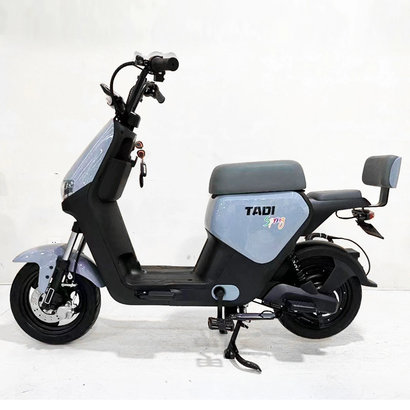 Potente motocicleta bicicleta el&#233;ctrica para los adultos